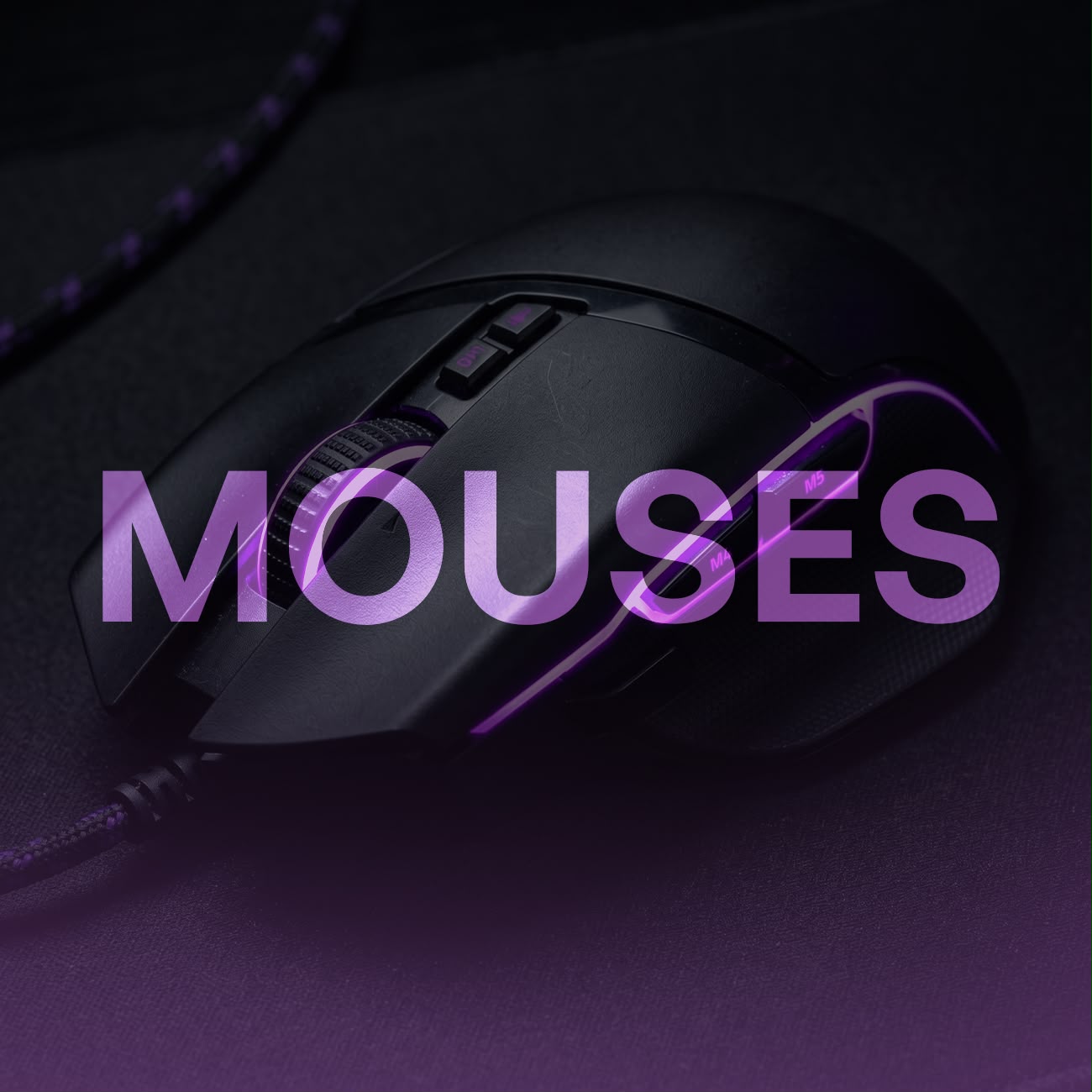 Mouses